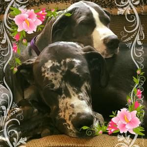 Meet your Posher, Sue